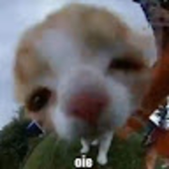 imyourbng